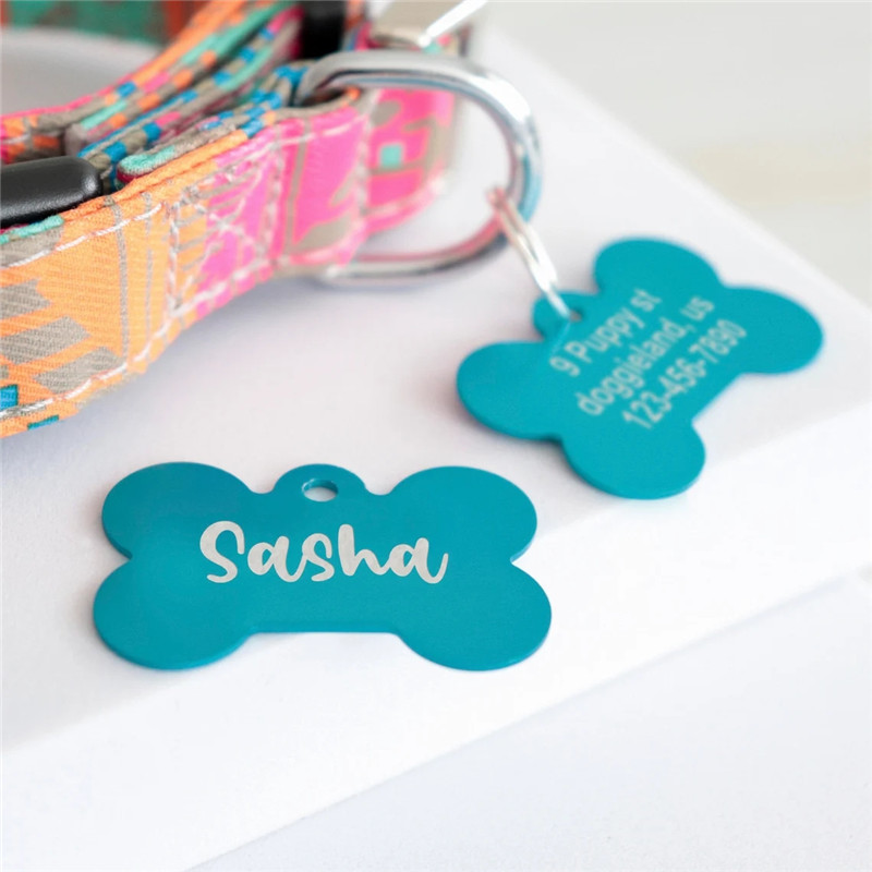 بطاقة تعريف شخصية للحيوانات ال - مراجعة Reflective Dog Collar Personalized Engraved وسعره