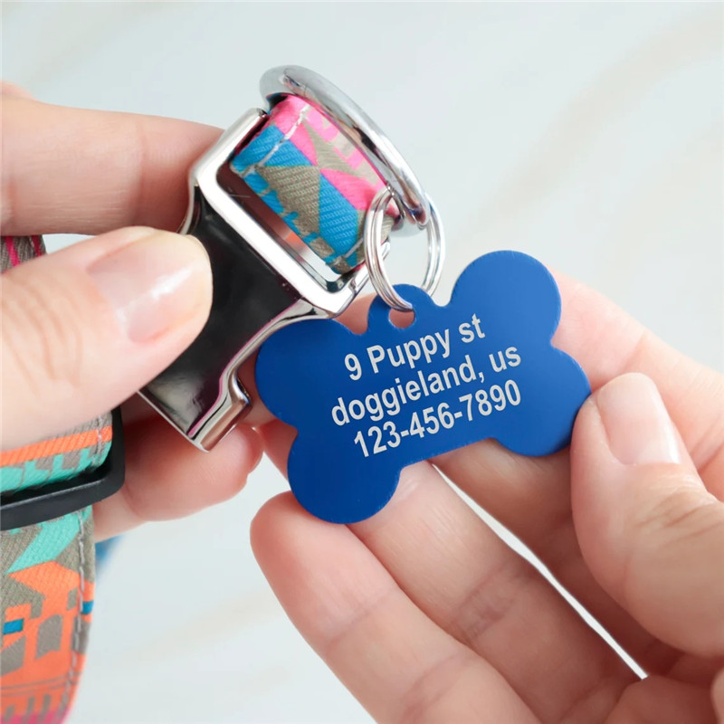 بطاقة تعريف شخصية للحيوانات ال - مراجعة Reflective Dog Collar Personalized Engraved وسعره