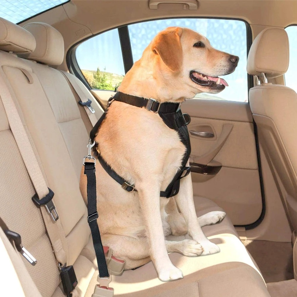حزام أمان قابل للتعديل من النا - مراجعة Dog Seat Belt Harness Safety Tether وسعره
