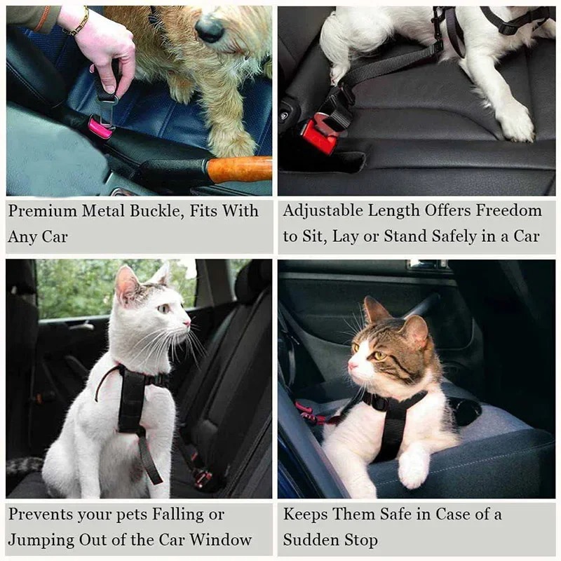 حزام أمان قابل للتعديل من النا - مراجعة Dog Seat Belt Harness Safety Tether وسعره