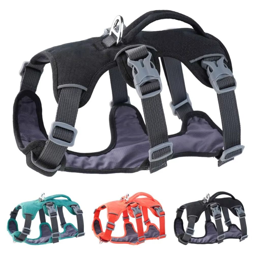 سترة عاكسة للكلاب مع مقبض، مقا - مراجعة Bungee Dog Leash Shock Absorbing وسعره