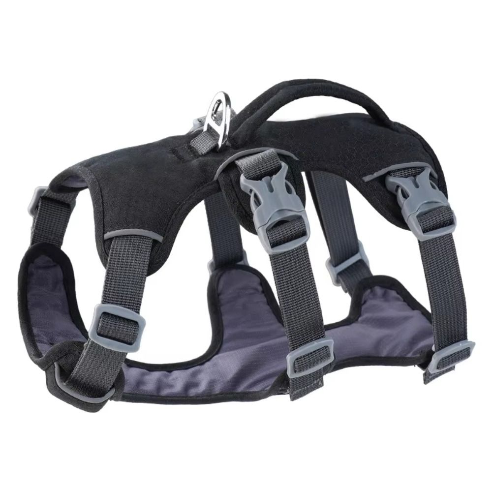 سترة عاكسة للكلاب مع مقبض، مقا - مراجعة Bungee Dog Leash Shock Absorbing وسعره