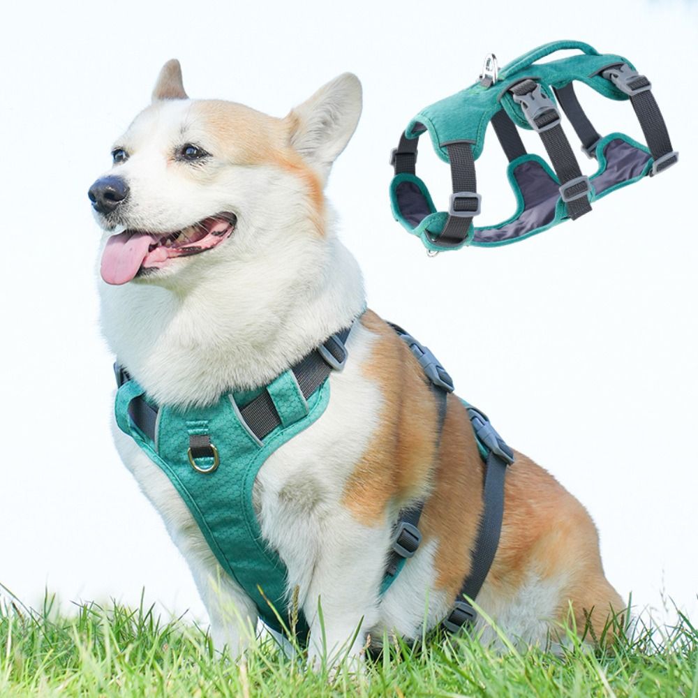 سترة عاكسة للكلاب مع مقبض، مقا - مراجعة Bungee Dog Leash Shock Absorbing وسعره