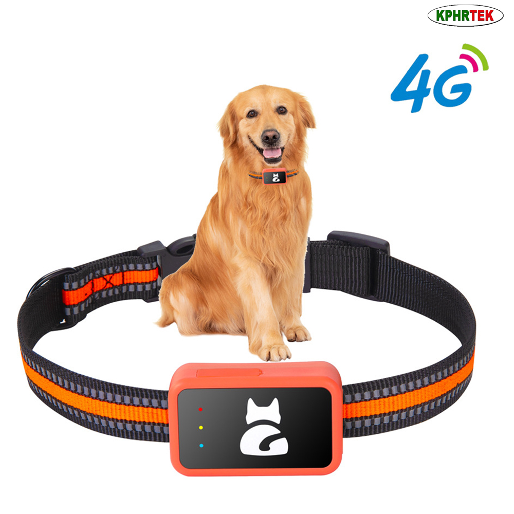 جهاز تتبع الحيوانات الأليفة G6 - مراجعة Pet Activity Health Monitor Tracker وسعره