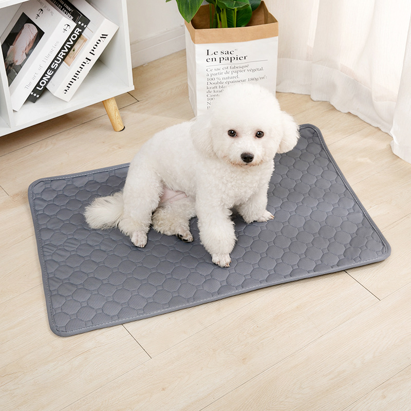 وسادة قابلة لإعادة الاستخدام ل - مراجعة Dog Car Seat Cover Waterproof Back Seat وسعره