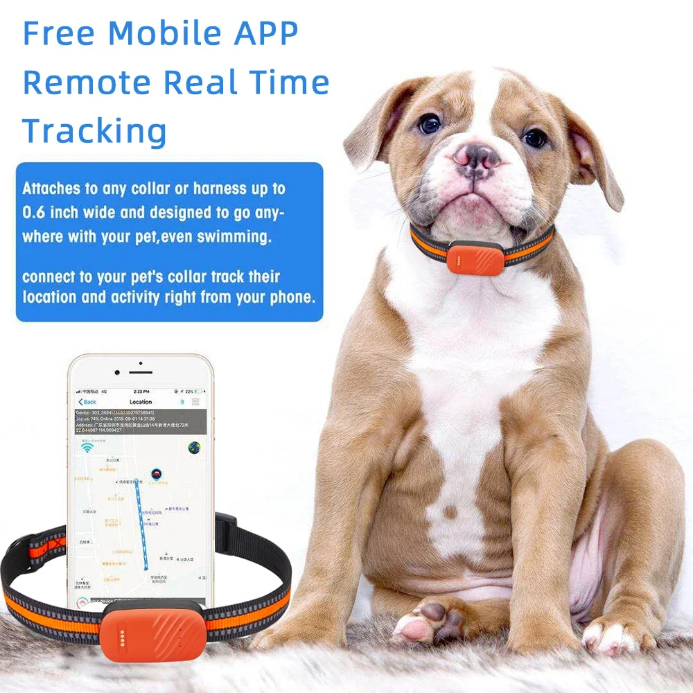 جهاز تتبع GPS للحيوانات الأليف - مراجعة Dog Gps Tracker Collar 4G Waterproof وسعره