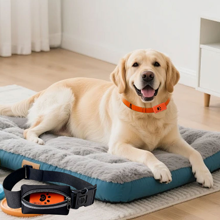 جهاز مراقبة نشاط الحيوانات الأ - مراجعة Pet Activity Health Monitor Tracker وسعره