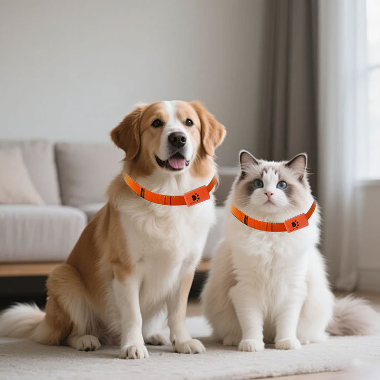 جهاز مراقبة نشاط الحيوانات الأ - مراجعة Pet Activity Health Monitor Tracker وسعره