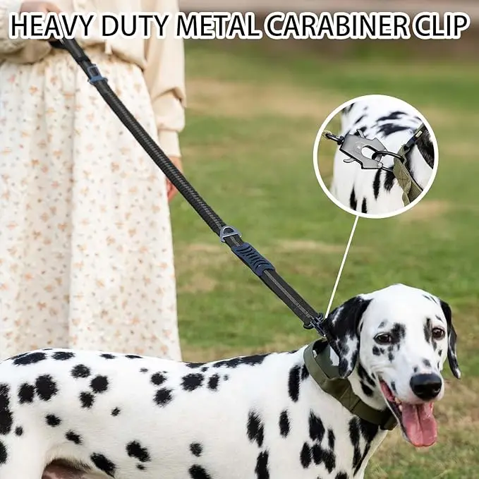 أحزمة تعليق للحيوانات الأليفة  - مراجعة Bungee Dog Leash Shock Absorbing وسعره