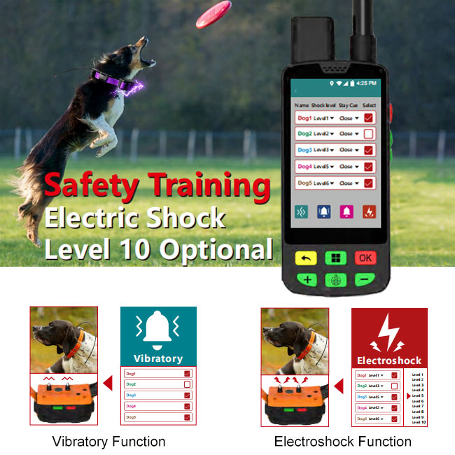 طوق ESEEK 4G GPS للكلاب مع تتب - مراجعة Hunting Dog Tracking Collar Gps Radio وسعره