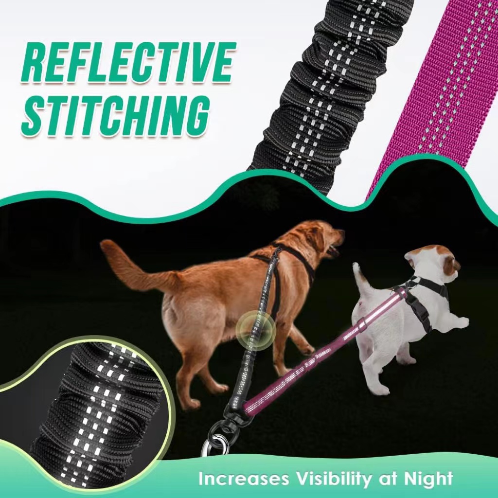 2 في 1 مزدوجة الكلب المقود الم - مراجعة Bungee Dog Leash Shock Absorbing وسعره