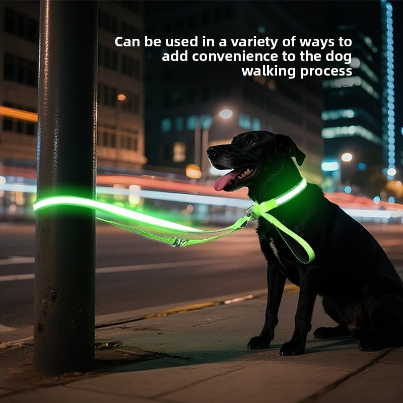 طقم طوق وحبل مضيء للكلاب قابل  - مراجعة Led Dog Collar Glowing Rechargeable Usb وسعره