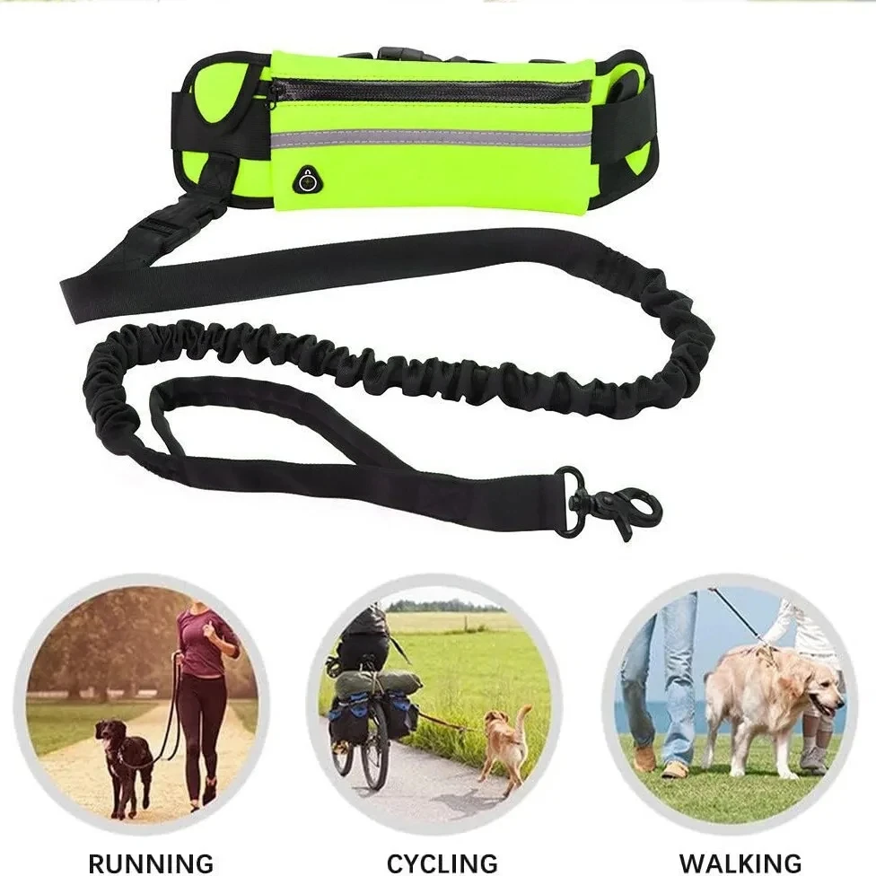 حبل تسلق الكلاب بدون استخدام ا - مراجعة Hands Free Dog Running Leash Waist Belt وسعره