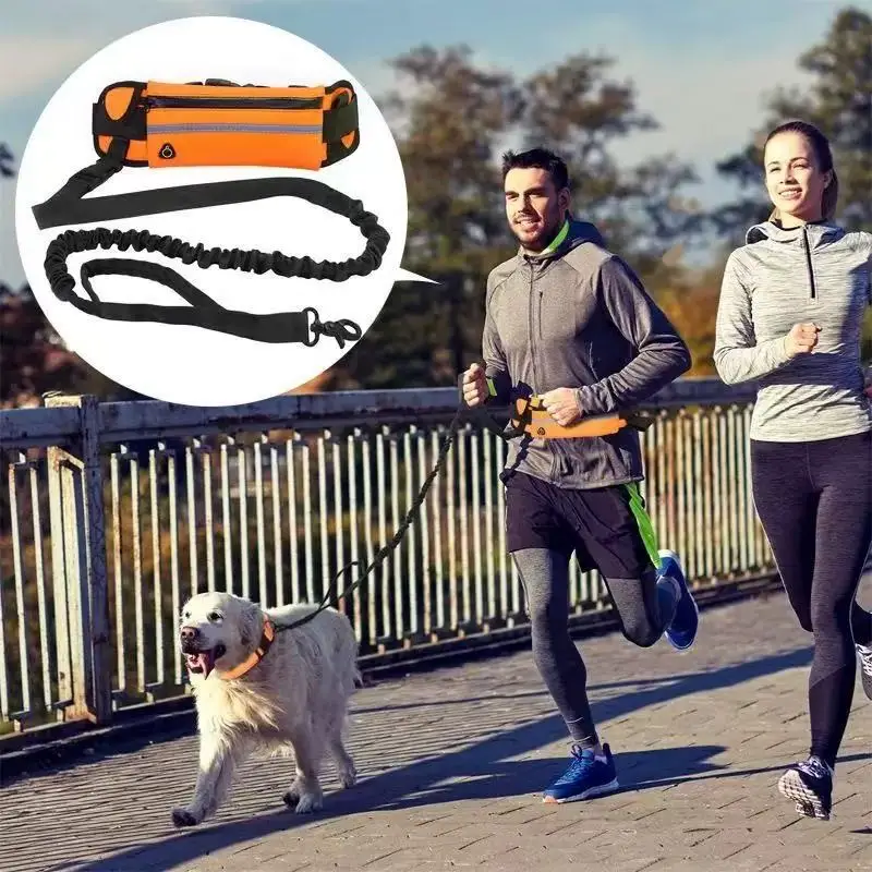 حبل تسلق الكلاب بدون استخدام ا - مراجعة Hands Free Dog Running Leash Waist Belt وسعره