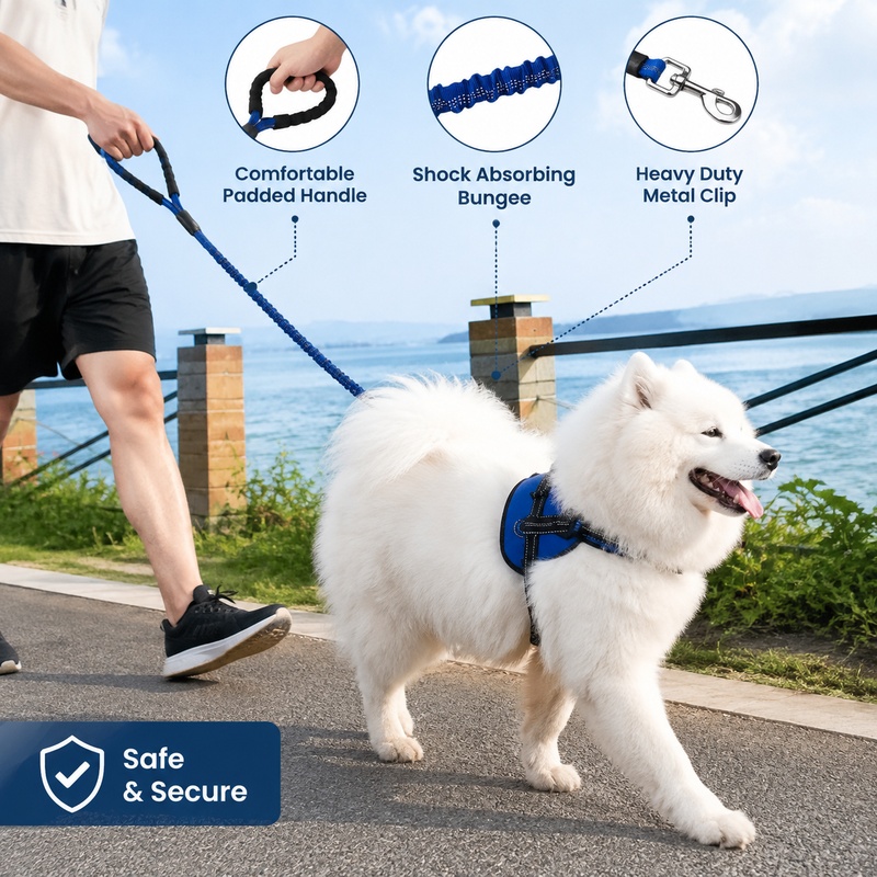 مقود كلب مرن وقوي بطول 47.2 بو - مراجعة Bungee Dog Leash Shock Absorbing وسعره