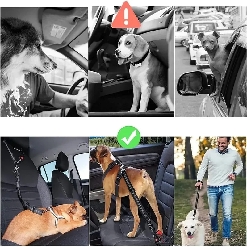 2-in-1 قابل للتعديل عاكس الكلب - مراجعة Dog Seat Belt Harness Safety Tether وسعره