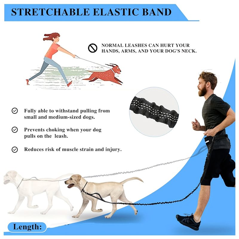 حزام صدر للكلاب، يمكن استخدامه - مراجعة Hands Free Dog Running Leash Waist Belt وسعره