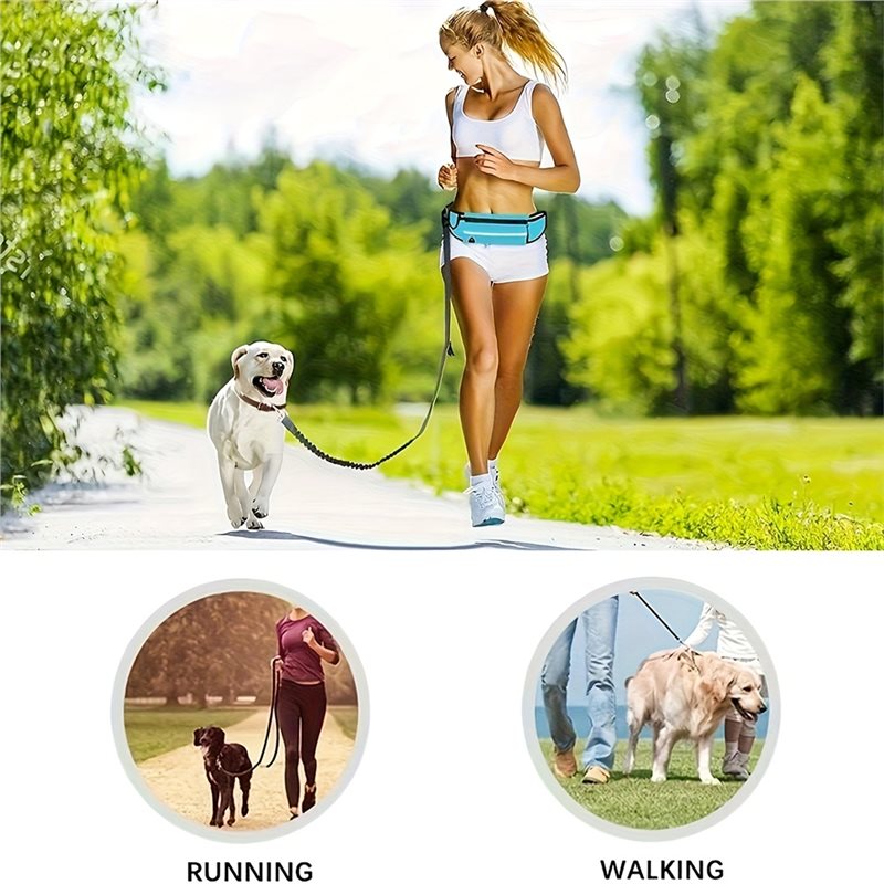 حزام صدر للكلاب، يمكن استخدامه - مراجعة Hands Free Dog Running Leash Waist Belt وسعره