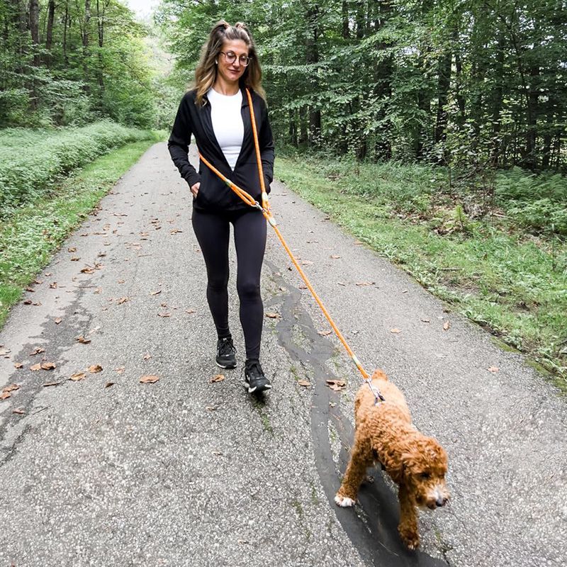 مقود كلب قابل للتعديل بدون است - مراجعة Hands Free Dog Running Leash Waist Belt وسعره