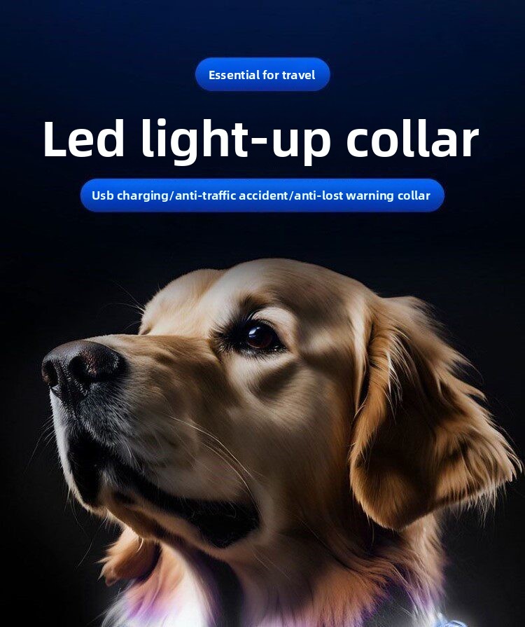 طوق كلب مضيء بإضاءة LED للمشي  - مراجعة Led Dog Collar Glowing Rechargeable Usb وسعره