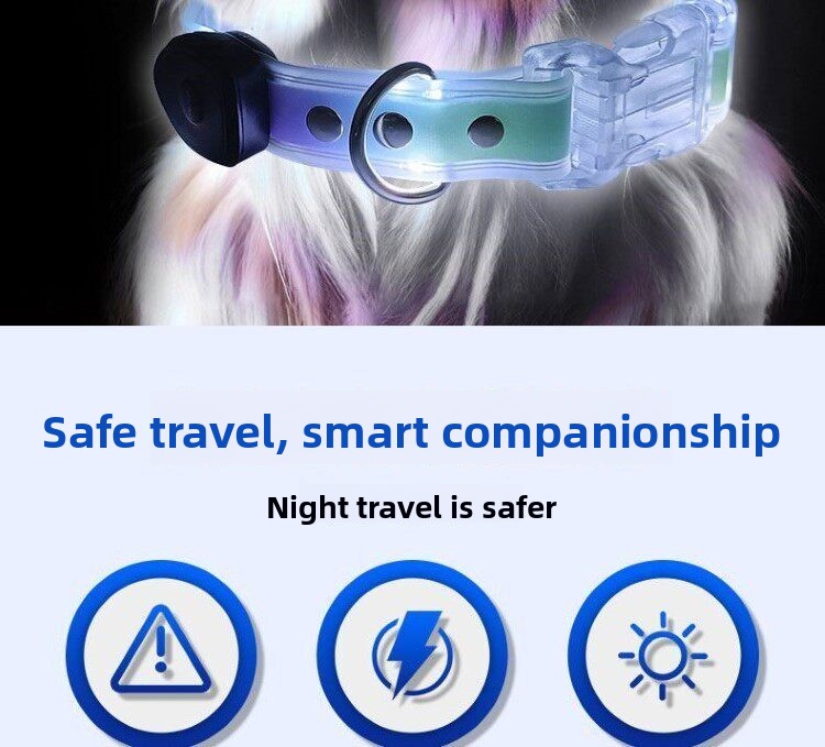 طوق كلب مضيء بإضاءة LED للمشي  - مراجعة Led Dog Collar Glowing Rechargeable Usb وسعره