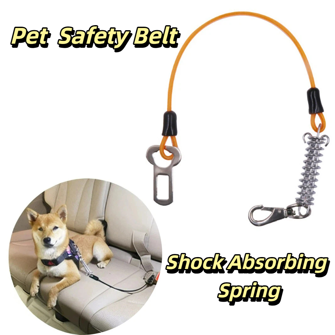 مضغ واقية الحيوانات الأليفة سي - مراجعة Bungee Dog Leash Shock Absorbing وسعره