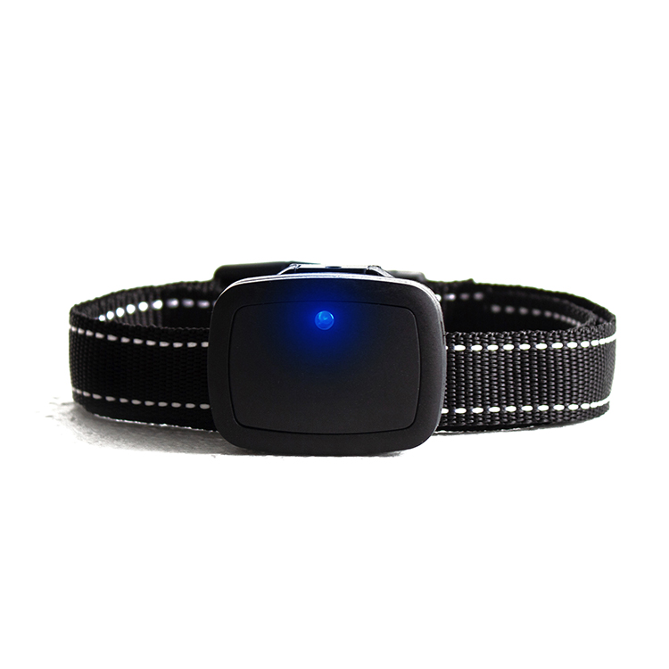 جهاز مراقبة نشاط الحيوانات الأ - مراجعة Pet Activity Health Monitor Tracker وسعره
