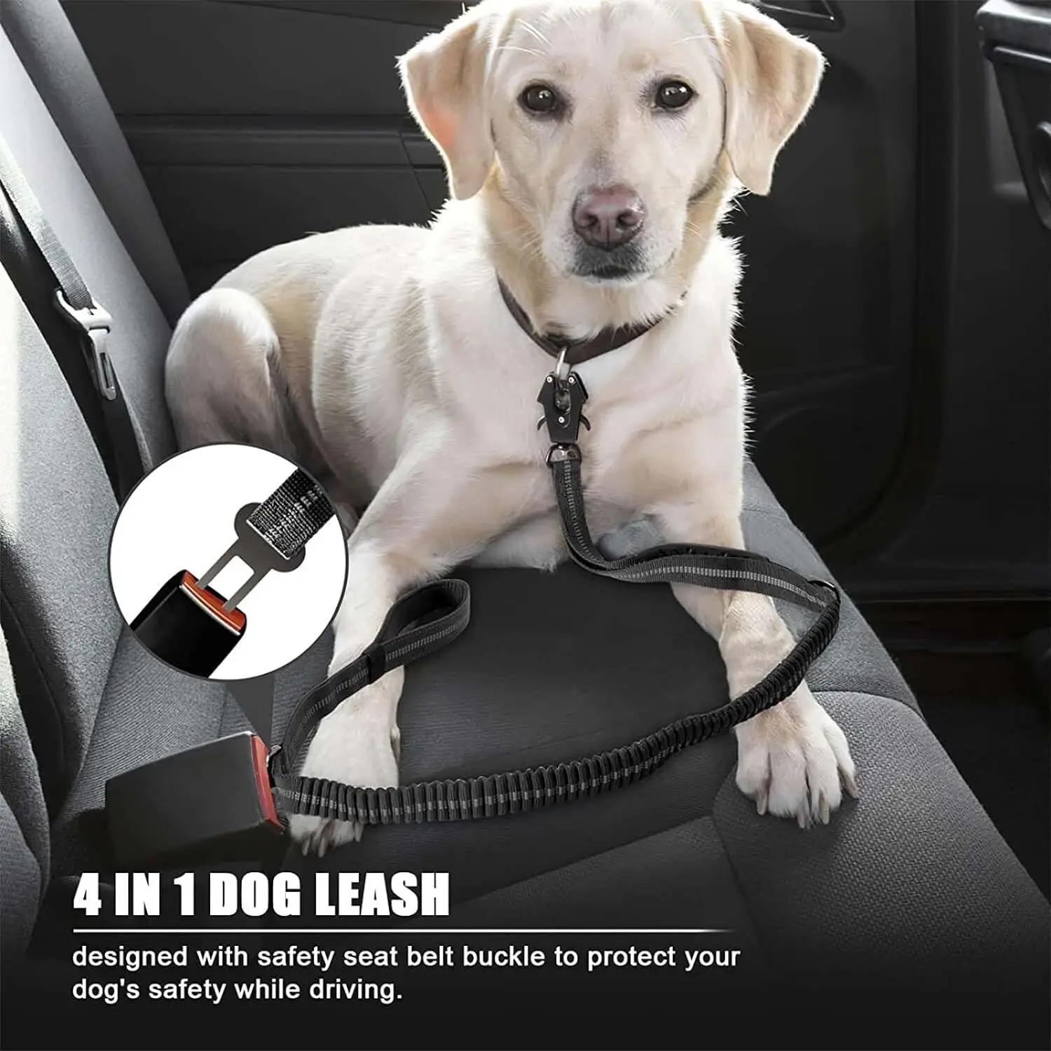 أحزمة كلاب عاكسة للضوء وممتصة  - مراجعة Bungee Dog Leash Shock Absorbing وسعره