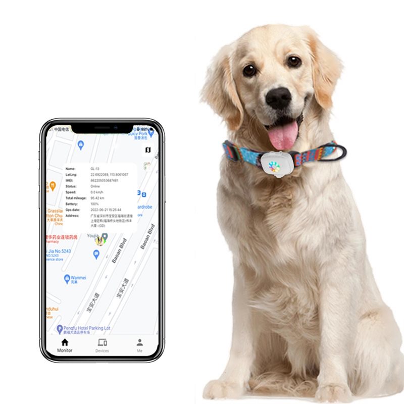 【اجب أن يكون】تتتبع الوقت الحقي - مراجعة Dog Gps Tracker Collar 4G Waterproof وسعره