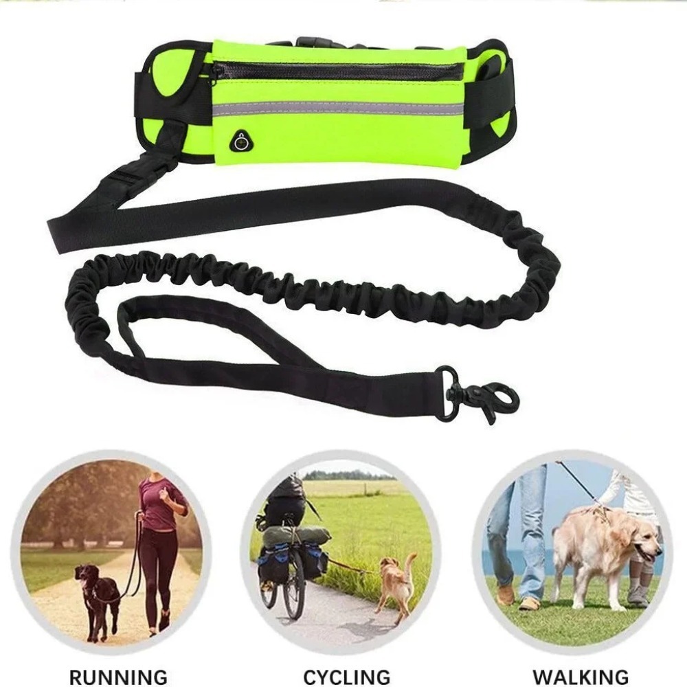 حبل توجيه للكلاب بدون استخدام  - مراجعة Hands Free Dog Running Leash Waist Belt وسعره