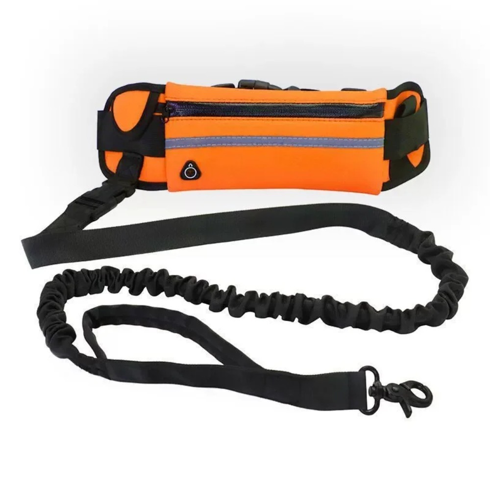 حبل توجيه للكلاب بدون استخدام  - مراجعة Hands Free Dog Running Leash Waist Belt وسعره