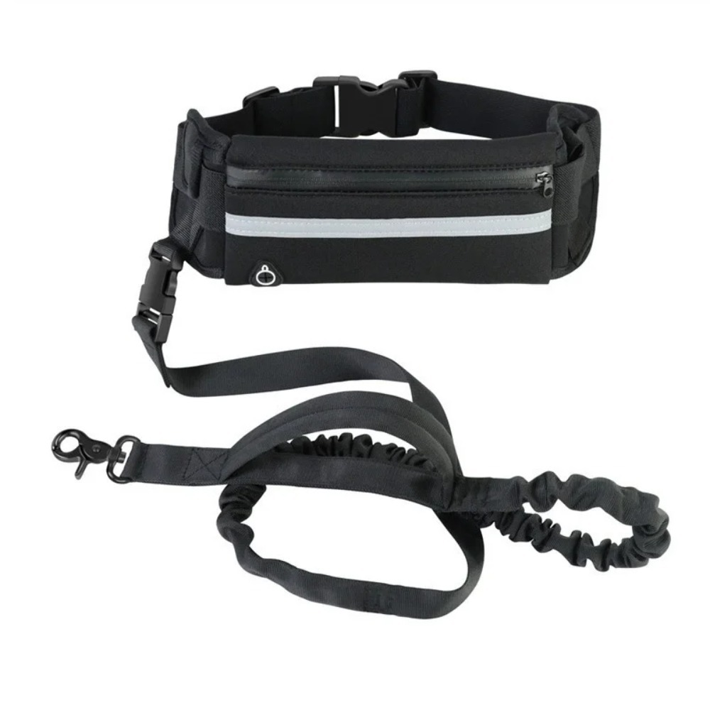 حبل توجيه للكلاب بدون استخدام  - مراجعة Hands Free Dog Running Leash Waist Belt وسعره