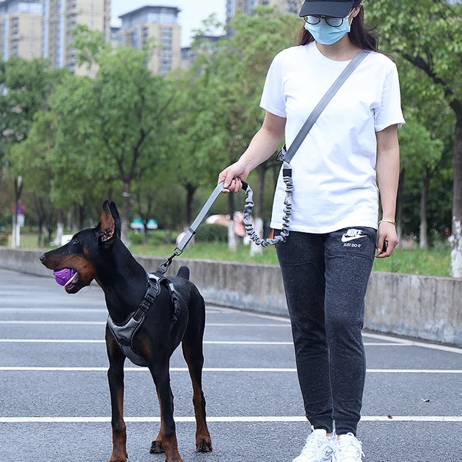 حزام مشي للكلاب بدون استخدام ا - مراجعة Hands Free Dog Running Leash Waist Belt وسعره