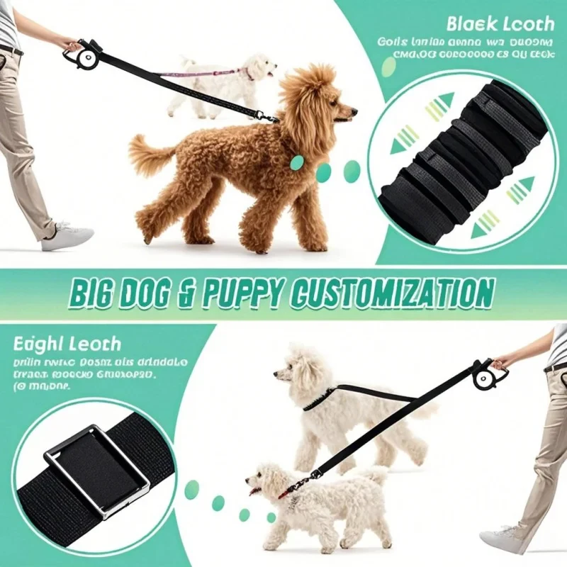 حبل مزدوج للكلاب مع ممتص للصدم - مراجعة Bungee Dog Leash Shock Absorbing وسعره
