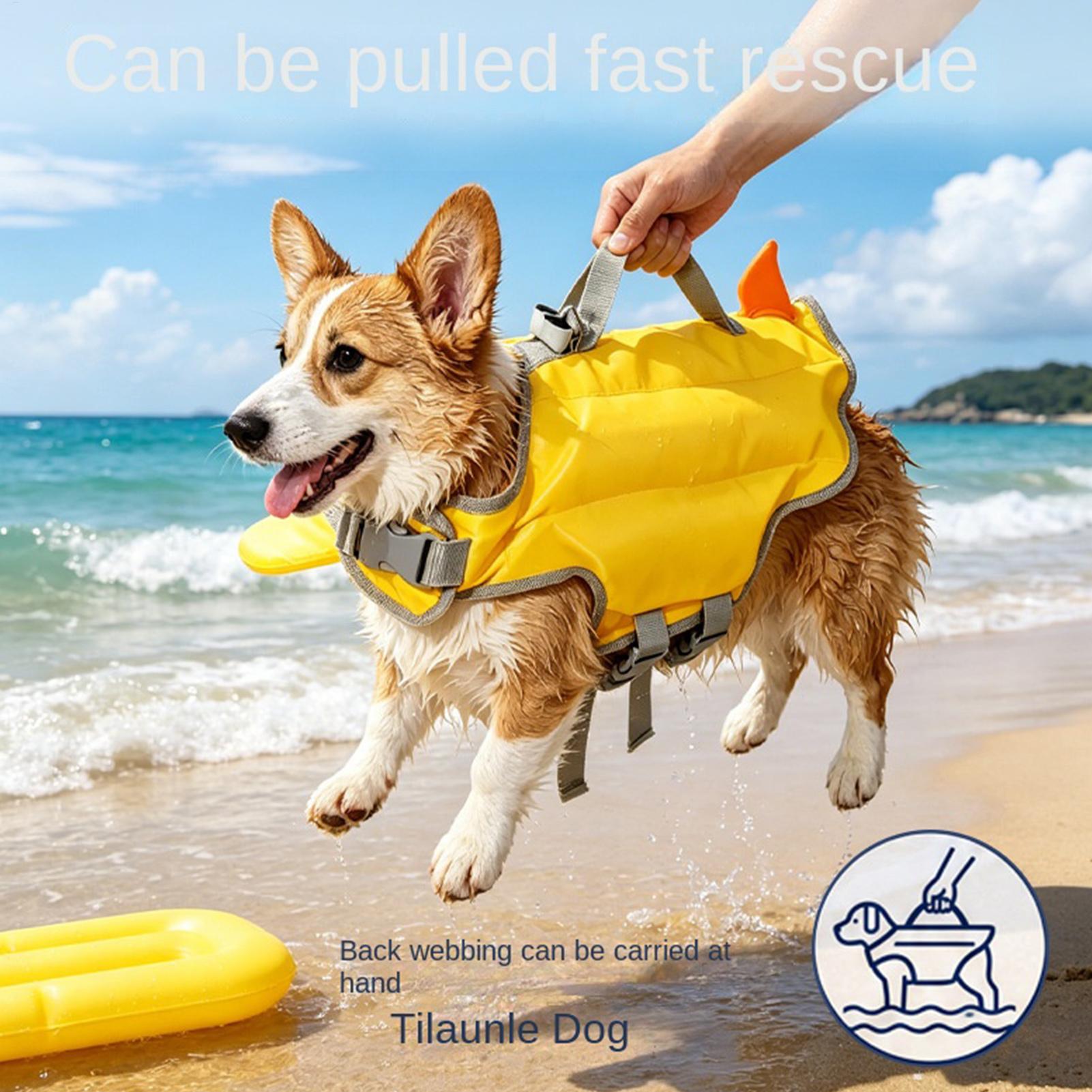 سترة نجاة للكلاب عالية الطفو م - مراجعة Dog Life Jacket Vest Buoyancy Handle وسعره