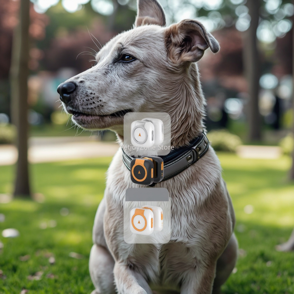 جهاز تتبع GPS شهير للحيوانات ا - مراجعة Dog Gps Tracker Collar 4G Waterproof وسعره