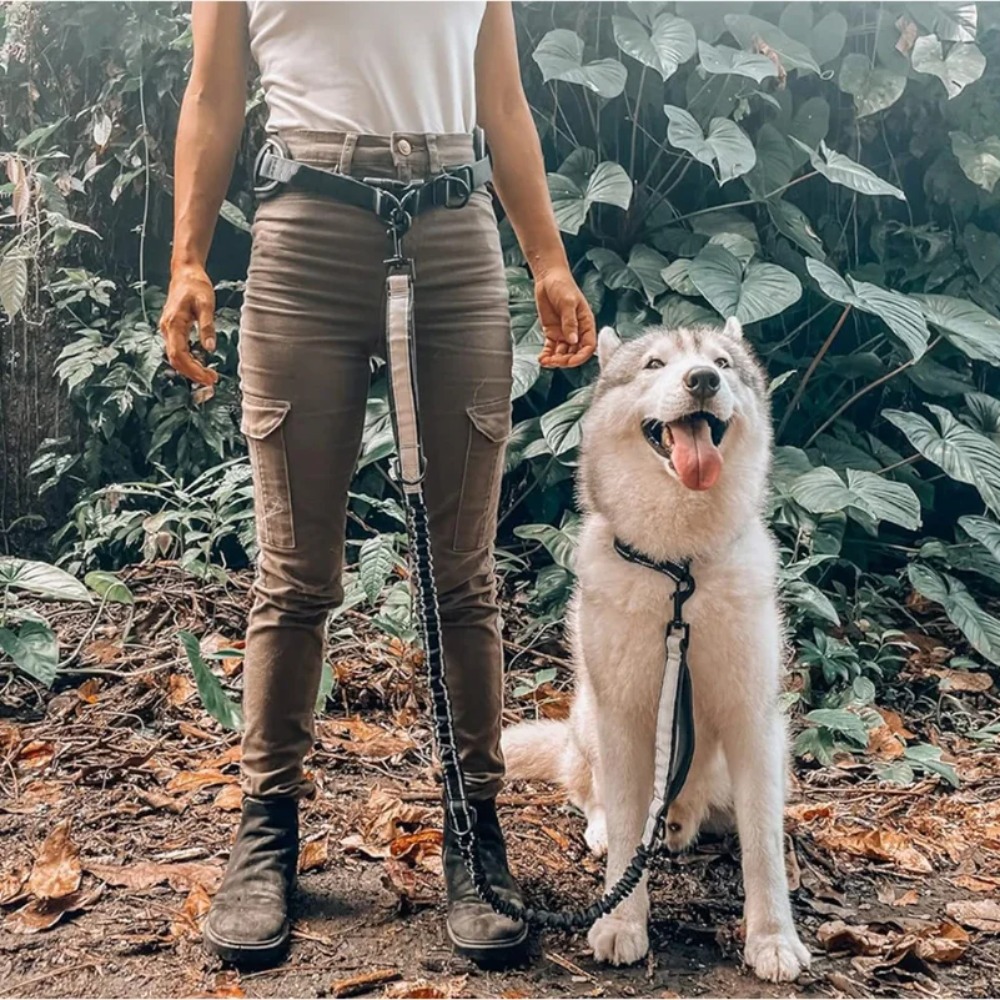 حقيبة خصر للجري مع حزام للحيوا - مراجعة Hands Free Dog Running Leash Waist Belt وسعره
