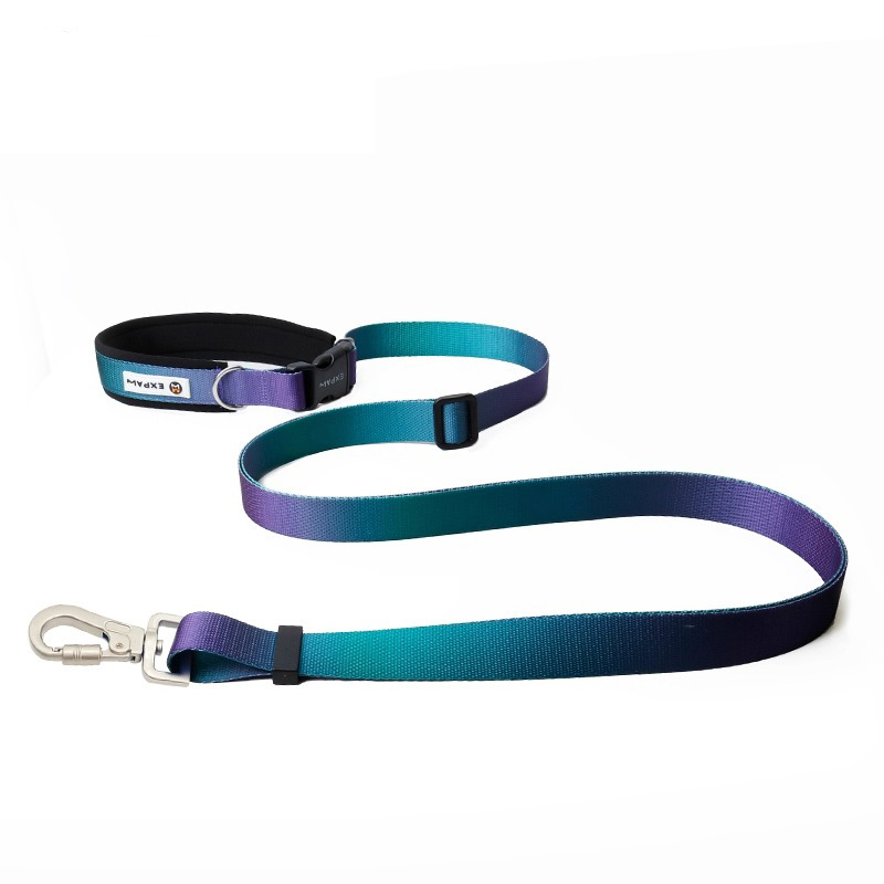 حر اليدين الكلب المقود Crossbo - مراجعة Hands Free Dog Running Leash Waist Belt وسعره
