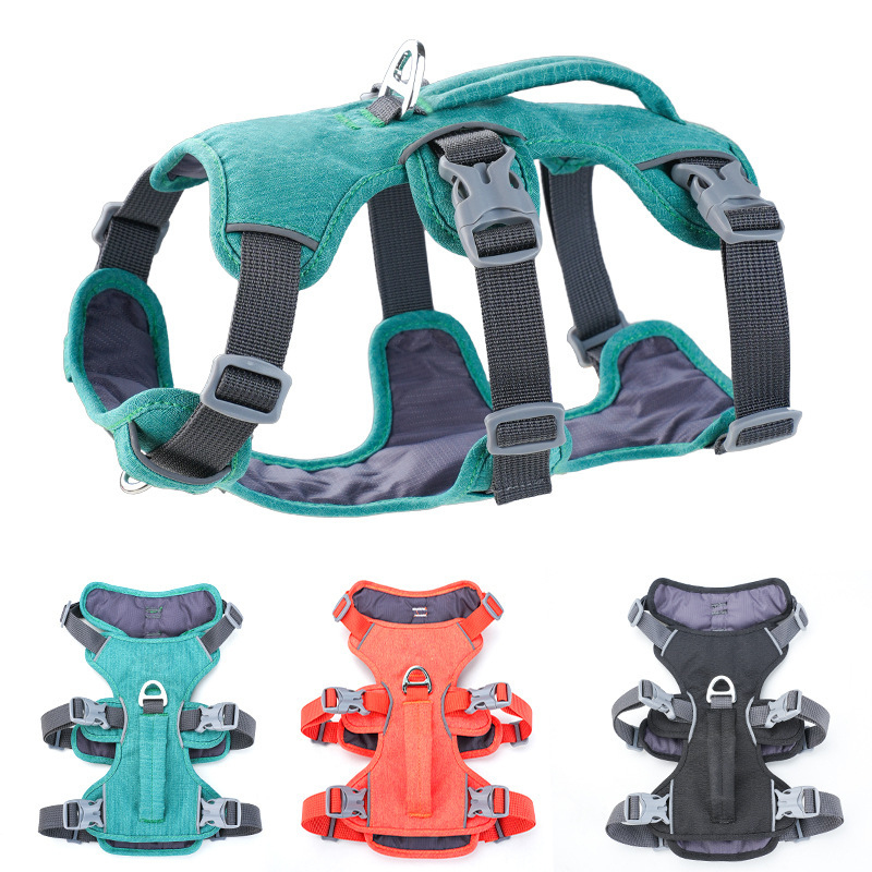 حزام حماية للكلاب عاكس للضوء و - مراجعة Bungee Dog Leash Shock Absorbing وسعره