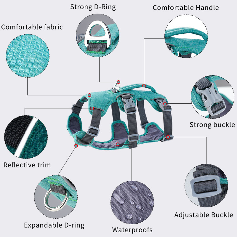 حزام حماية للكلاب عاكس للضوء و - مراجعة Bungee Dog Leash Shock Absorbing وسعره