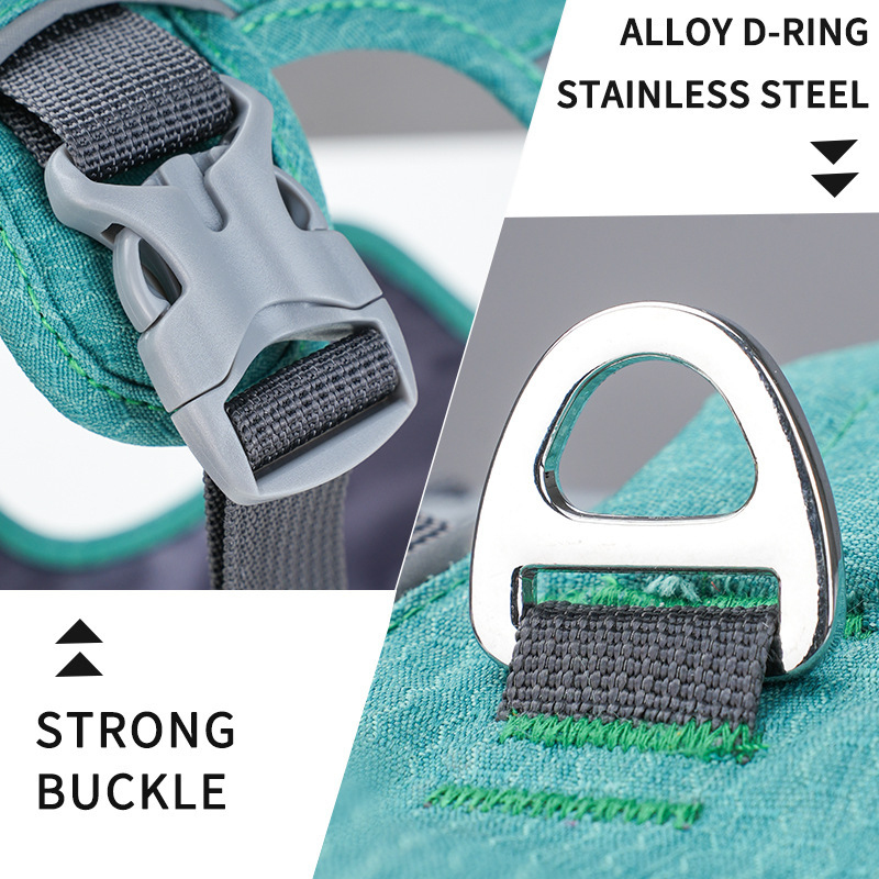 حزام حماية للكلاب عاكس للضوء و - مراجعة Bungee Dog Leash Shock Absorbing وسعره