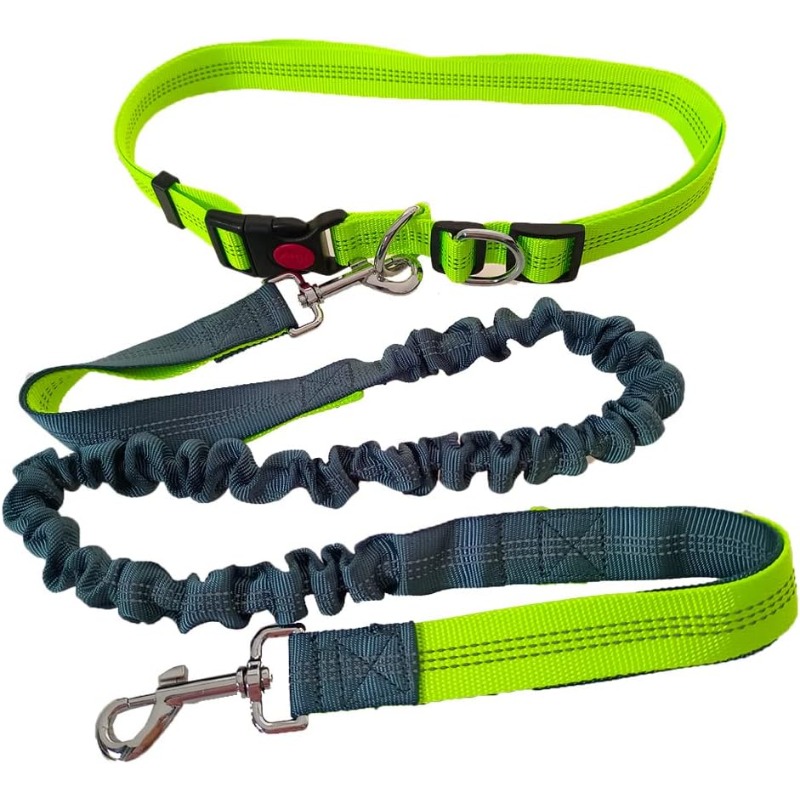 حزام مشي للكلاب بدون استخدام ا - مراجعة Hands Free Dog Running Leash Waist Belt وسعره