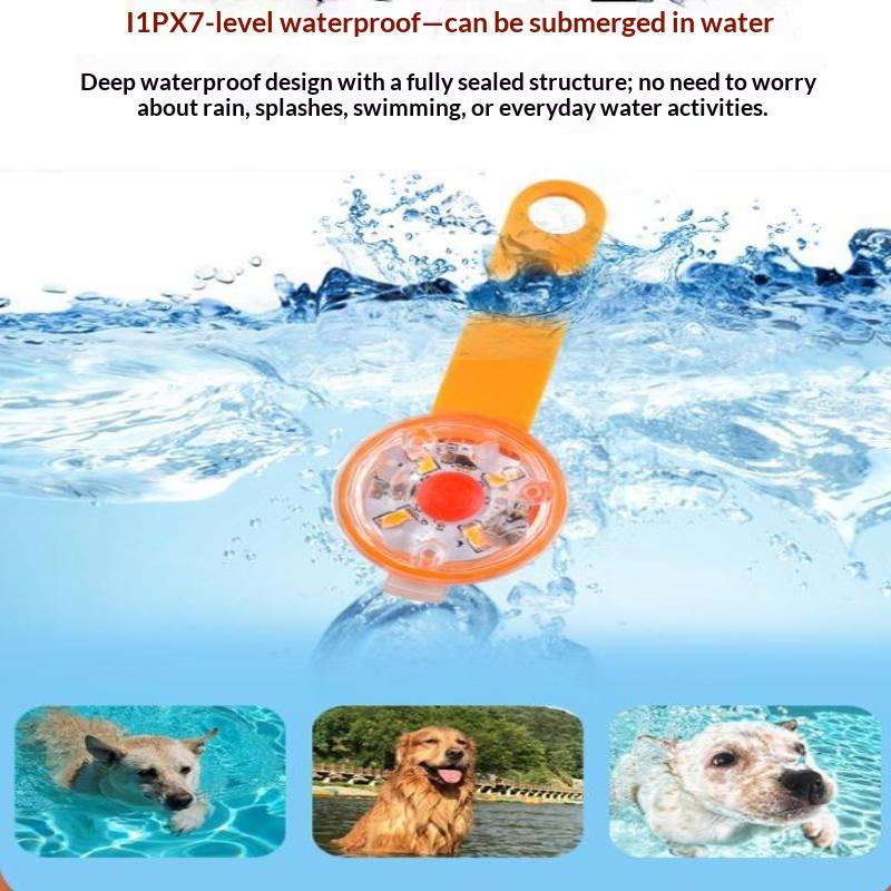 قلادة إضاءة LED للحيوانات الأل - مراجعة Led Dog Collar Glowing Rechargeable Usb وسعره