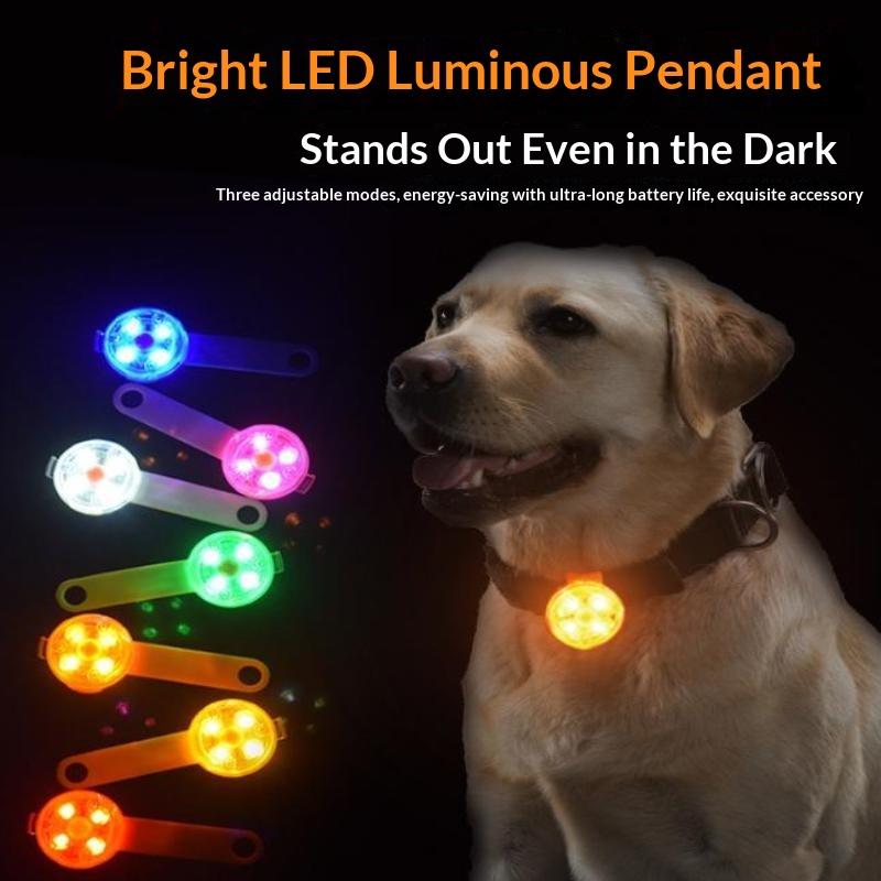 قلادة إضاءة LED للحيوانات الأل - مراجعة Led Dog Collar Glowing Rechargeable Usb وسعره