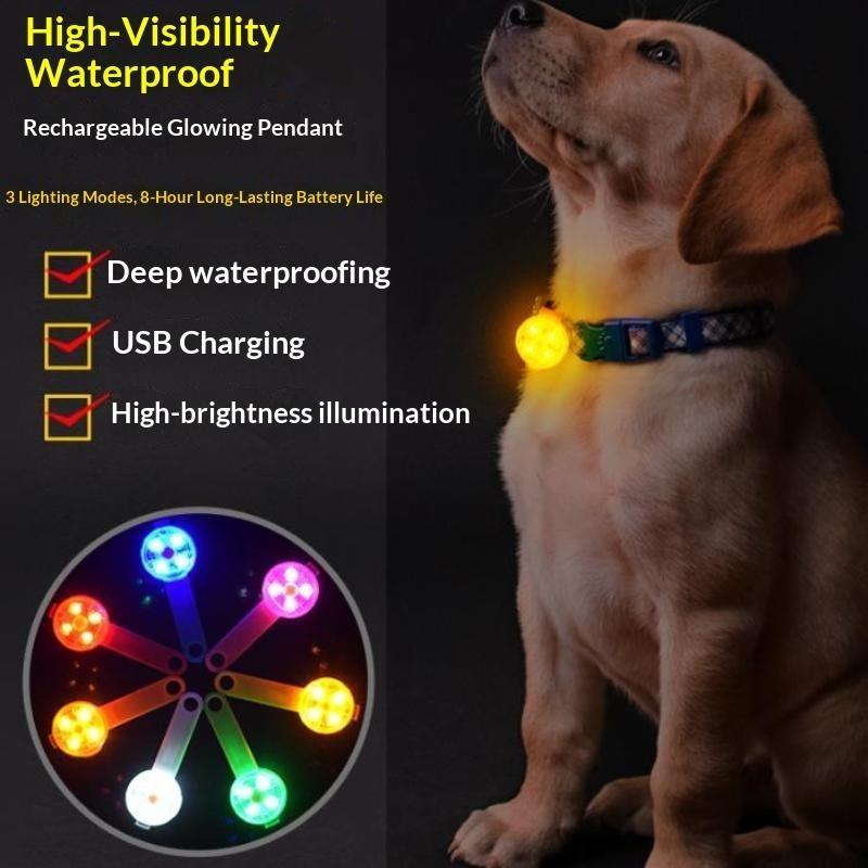 قلادة إضاءة LED للحيوانات الأل - مراجعة Led Dog Collar Glowing Rechargeable Usb وسعره