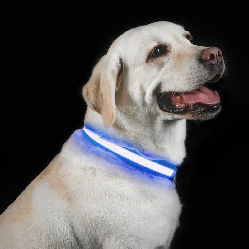 Benepaw LED طوق بكلاب USB قابل - مراجعة Led Dog Collar Glowing Rechargeable Usb وسعره