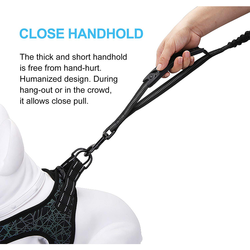 مقود بنجي مرن عالي التحمل متوس - مراجعة Bungee Dog Leash Shock Absorbing وسعره