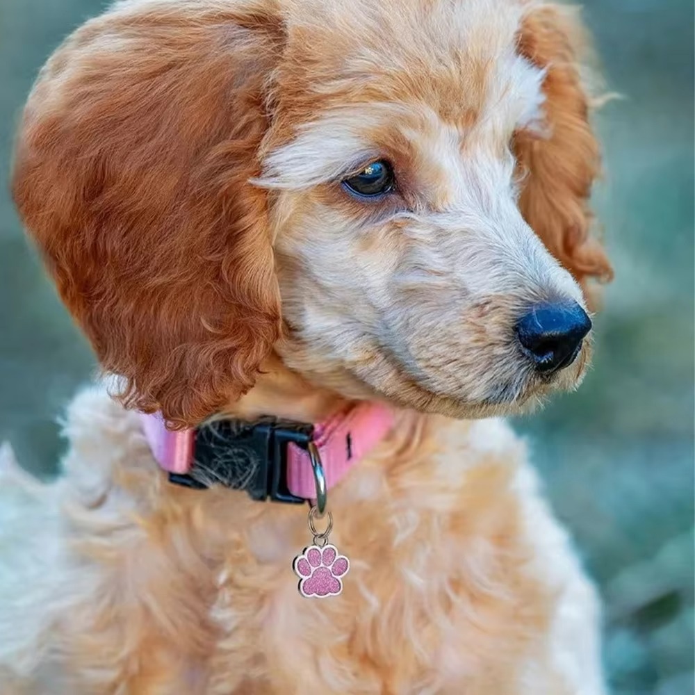 علامة تعريف شخصية للحيوانات ال - مراجعة Reflective Dog Collar Personalized Engraved وسعره