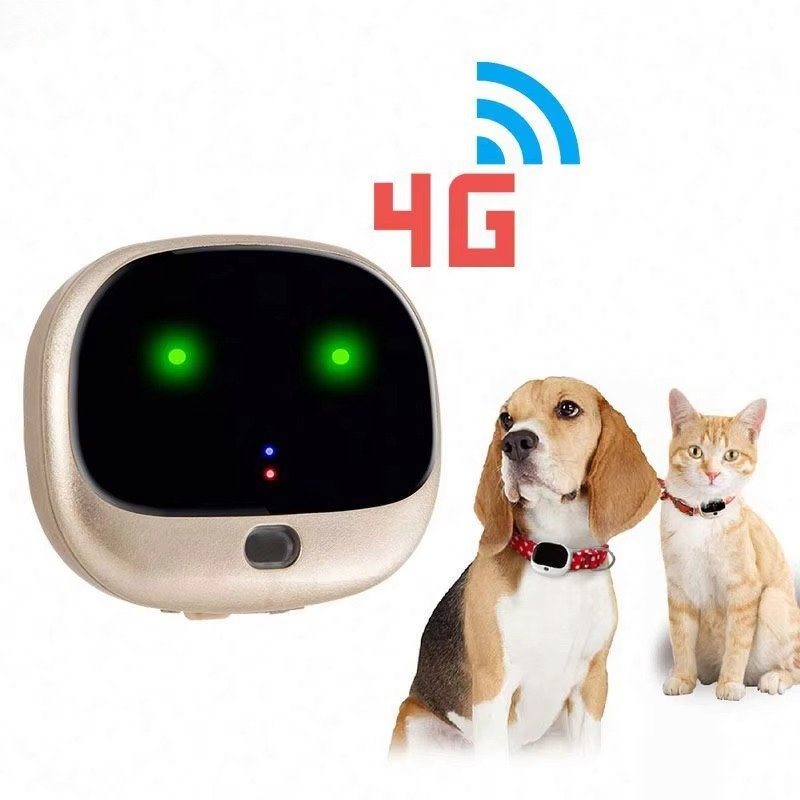 جهاز تتبع STLF3G مع شريحة GPS  - مراجعة Dog Gps Tracker Collar 4G Waterproof وسعره