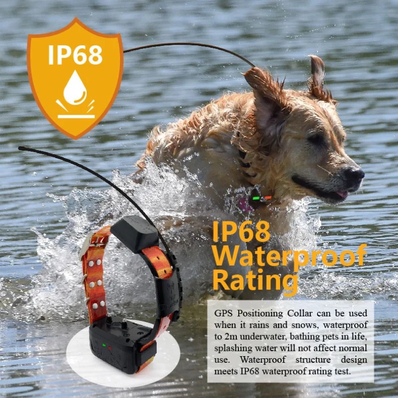 طوق جي بي إس للكلاب مع تتبع لا - مراجعة Hunting Dog Tracking Collar Gps Radio وسعره